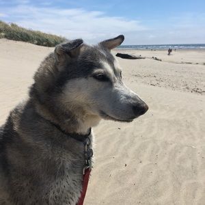 Meet your Posher, Savannah